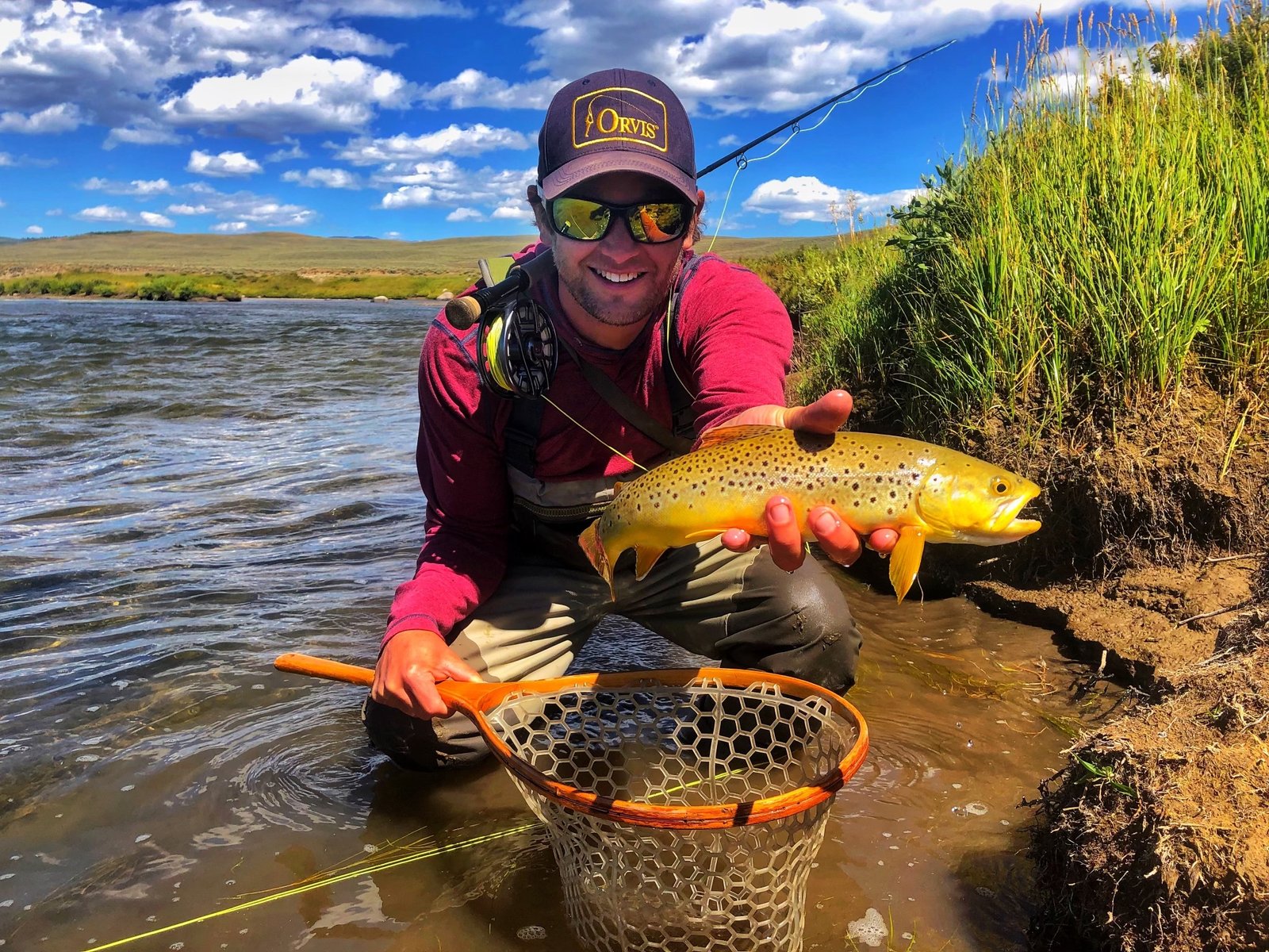 About thomas tennant wfish