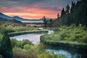 untitled design (10)